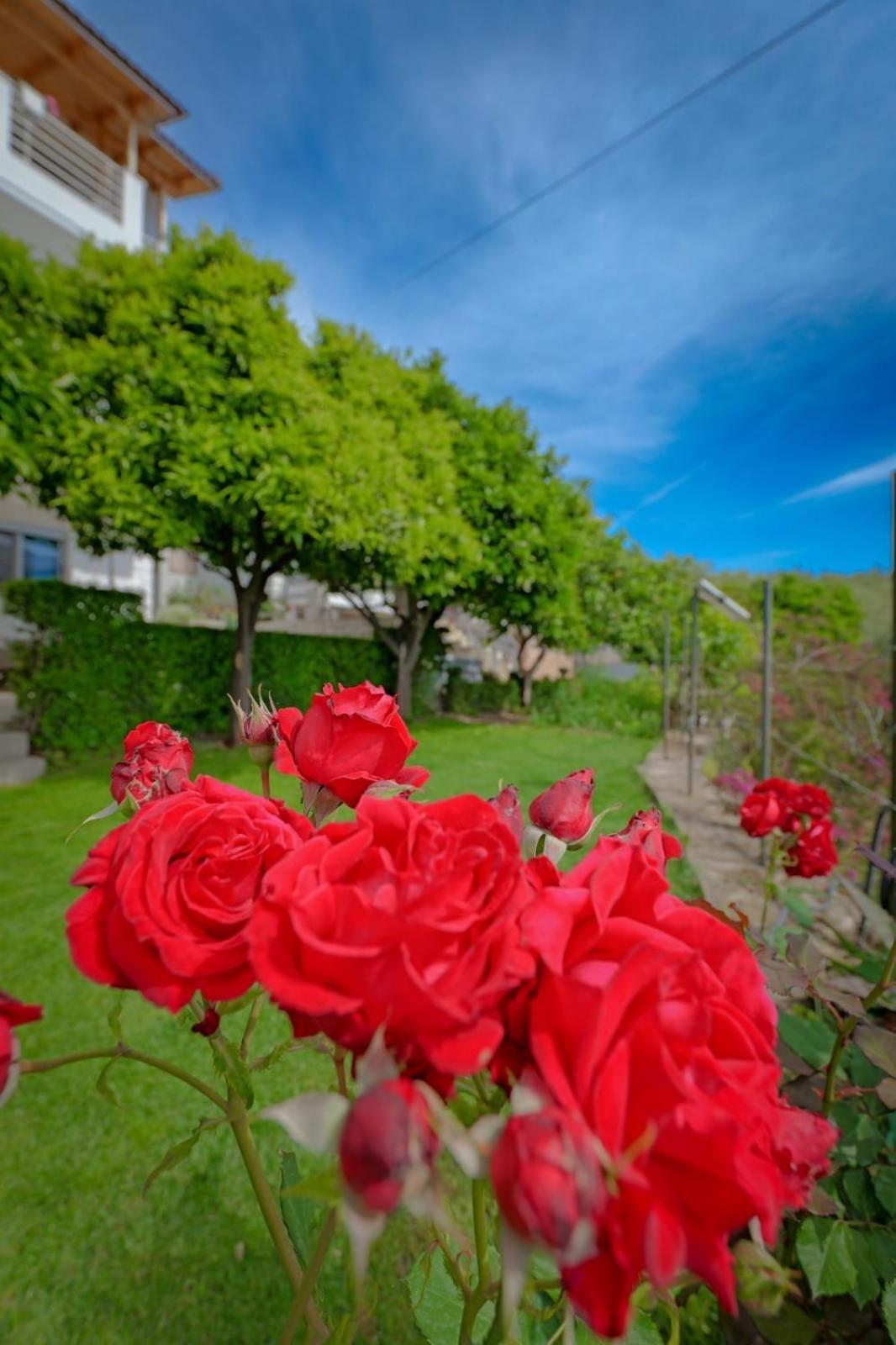 Eduard Lagji Apartament Lukovë Chambre photo
